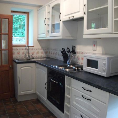 Bryn Cottage Llandderfel Экстерьер фото